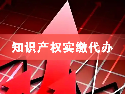 漳州知识产权实缴资本代办